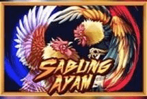 SABUNG AYAM